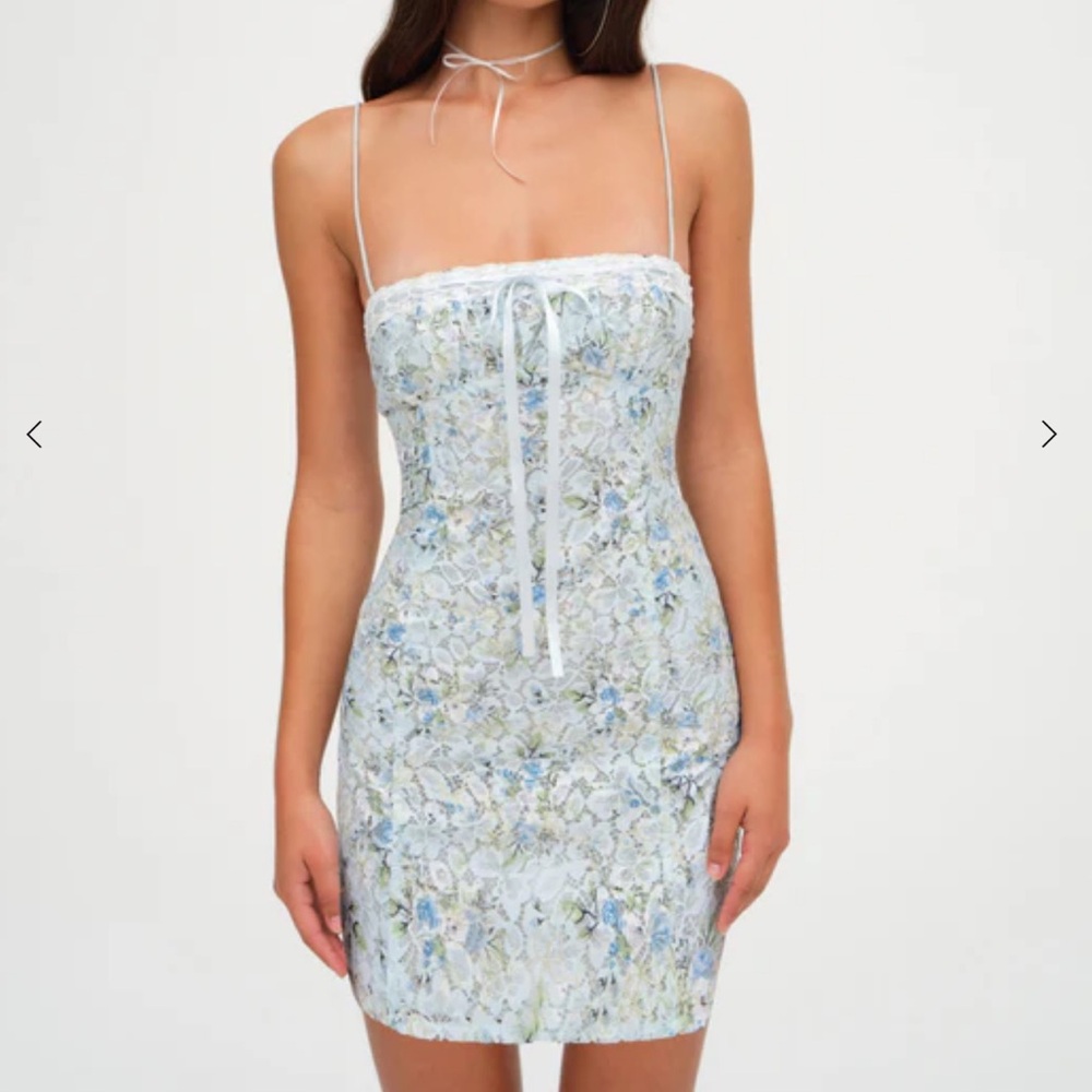 For love and Lemons Claire Floral Mini Dress